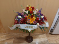 /album/galeria/8556eb89-6281-4026-8578-8b92af1c6e50-jpeg/